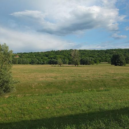 Country House Baranjski Tulipan Draž Екстериор снимка