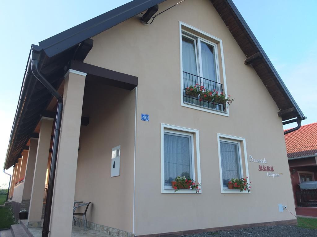 Country House Baranjski Tulipan Draž Екстериор снимка