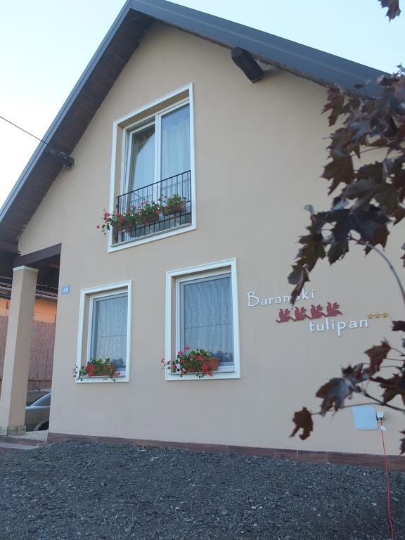 Country House Baranjski Tulipan Draž Екстериор снимка