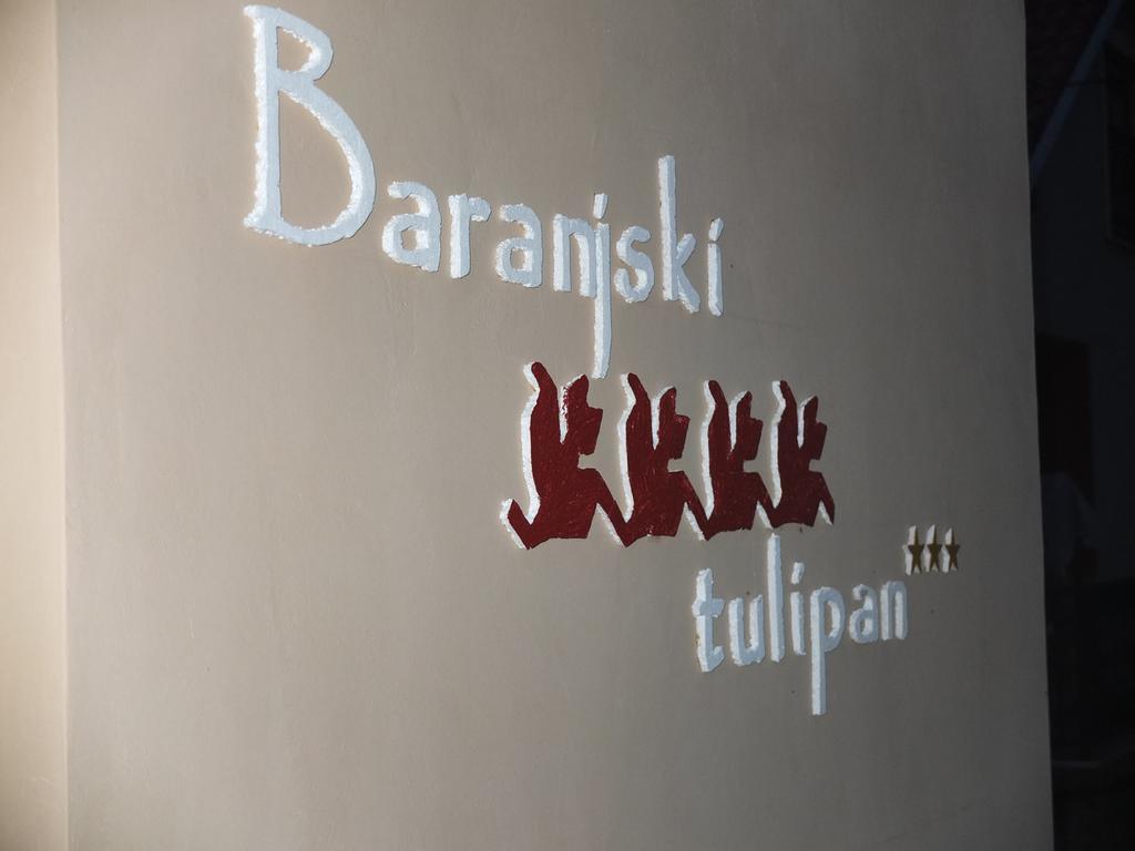 Country House Baranjski Tulipan Draž Екстериор снимка