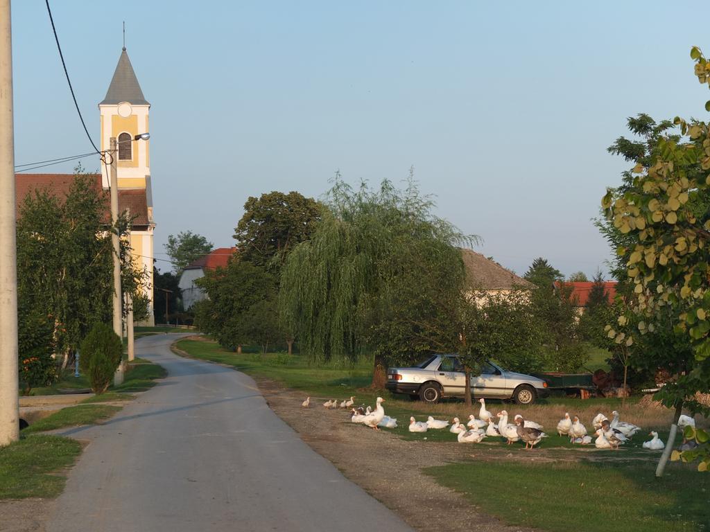 Country House Baranjski Tulipan Draž Екстериор снимка