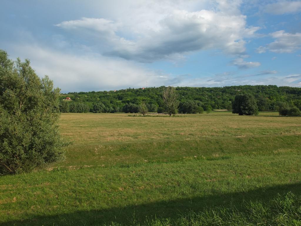 Country House Baranjski Tulipan Draž Екстериор снимка