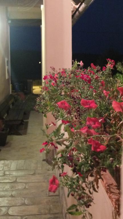 Country House Baranjski Tulipan Draž Екстериор снимка