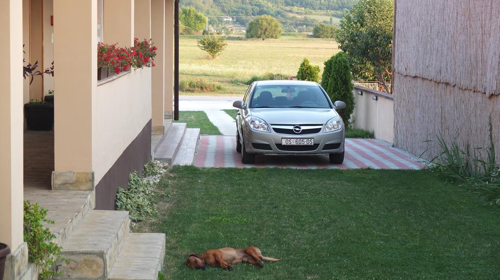 Country House Baranjski Tulipan Draž Екстериор снимка