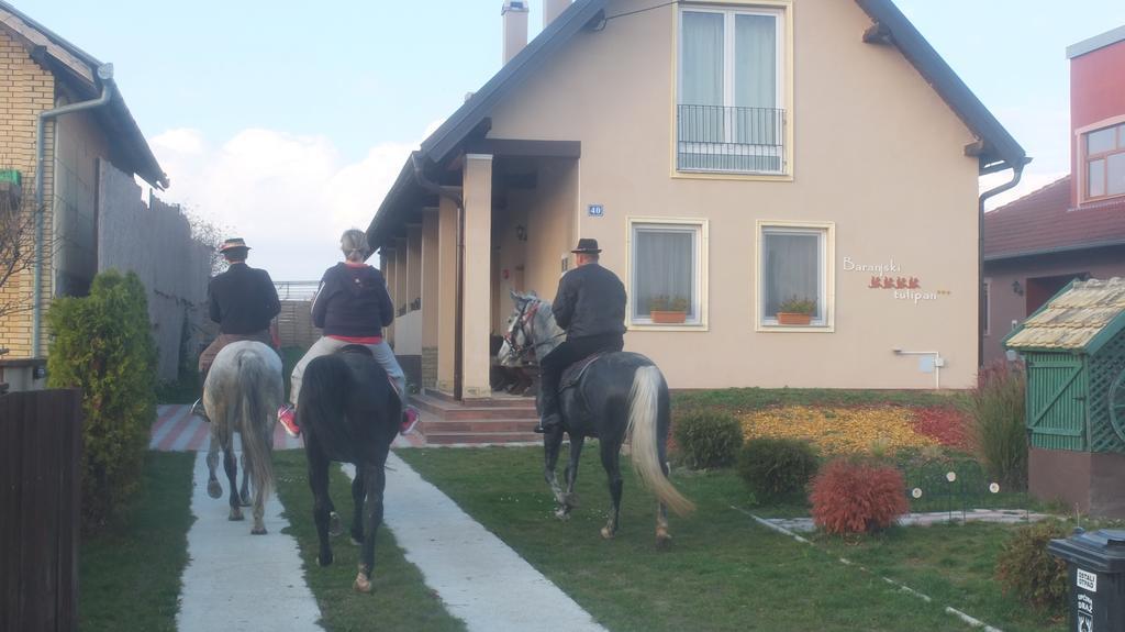 Country House Baranjski Tulipan Draž Екстериор снимка