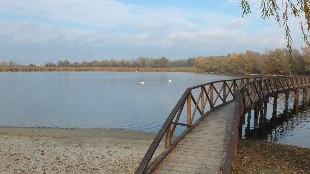 Country House Baranjski Tulipan Draž Екстериор снимка